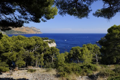 France, Bouches-du-Rhône (13), Cassis, presqu'île de Port Miou et les falaises du Cap Canaille en arrière plan