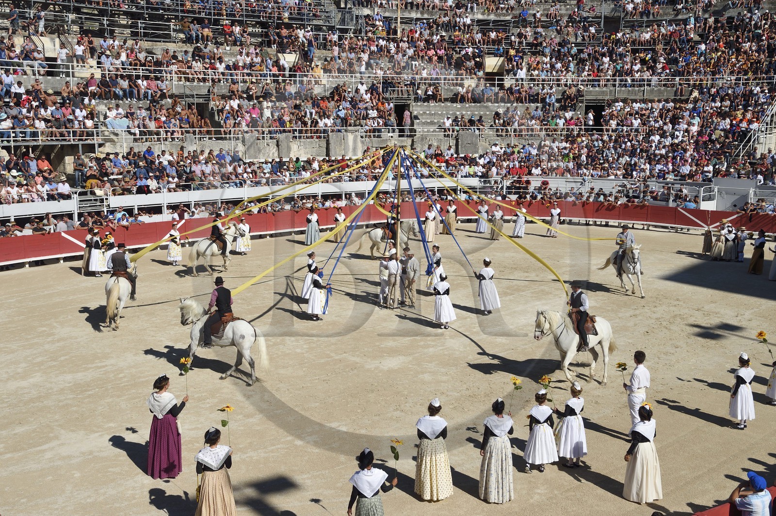 France, Bouches-du-Rhône (13), Arles, spectacle précédant la course camarguaise  de la Cocarde d'Or aux Arènes