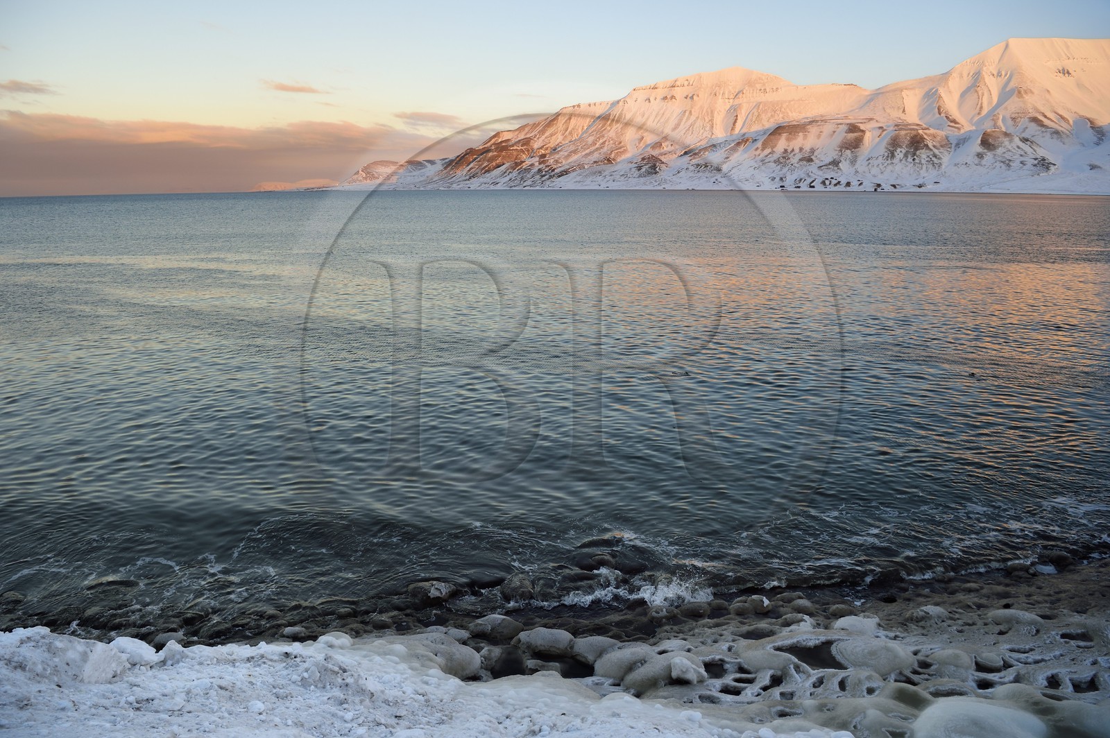 Norvège, Svalbard, Spitzberg, Longyearbyen, Adventfjorden, dentelle d'eau salée glacée