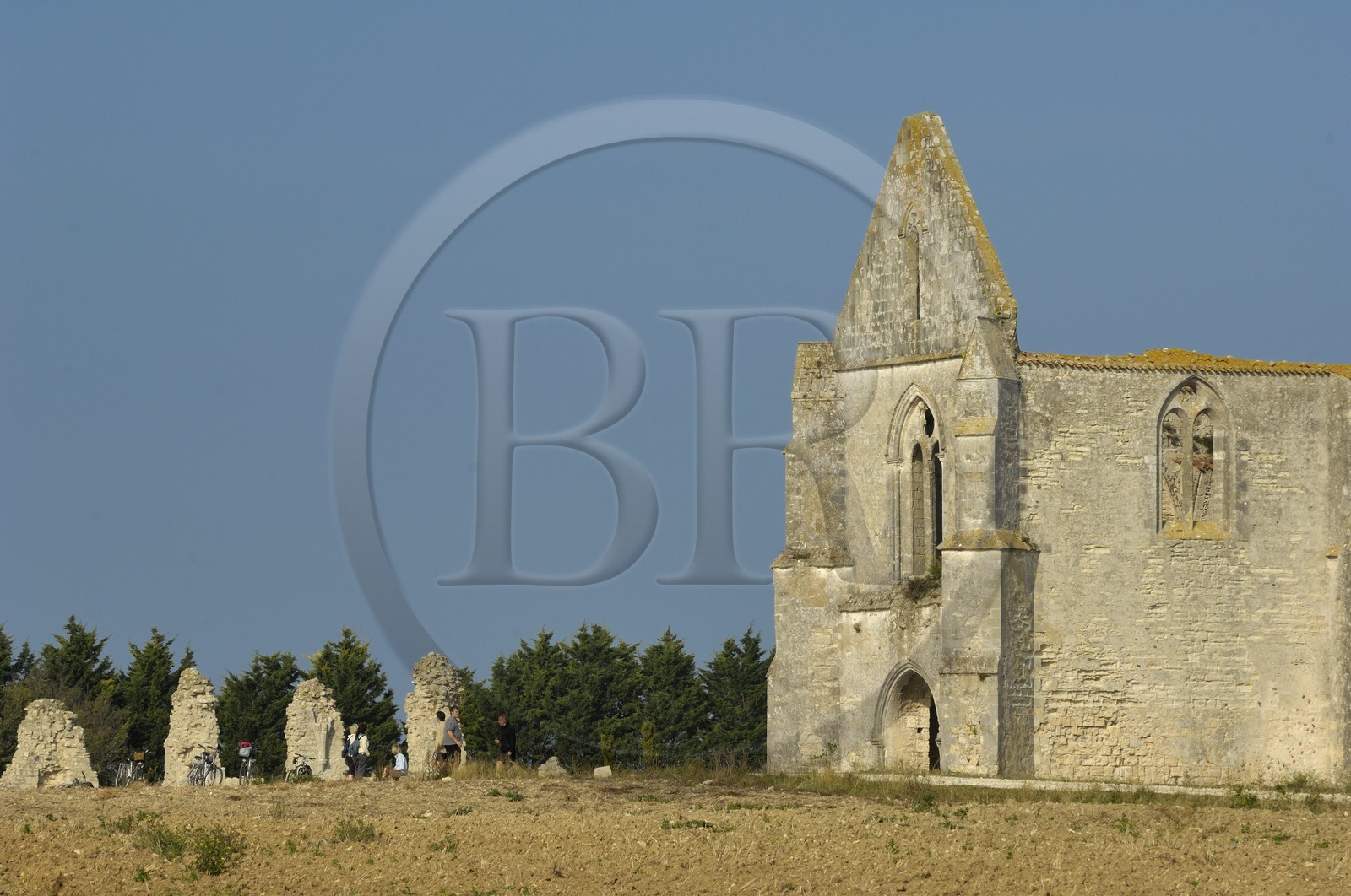 France, Charente-Maritime (17), ile de Ré, abbaye des Châteliers au sud de La Flotte