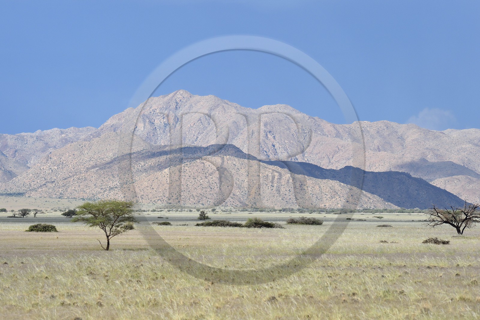 Namibie, région de Hardap, désert du Namib à l'Est du parc national Namib Naukluft