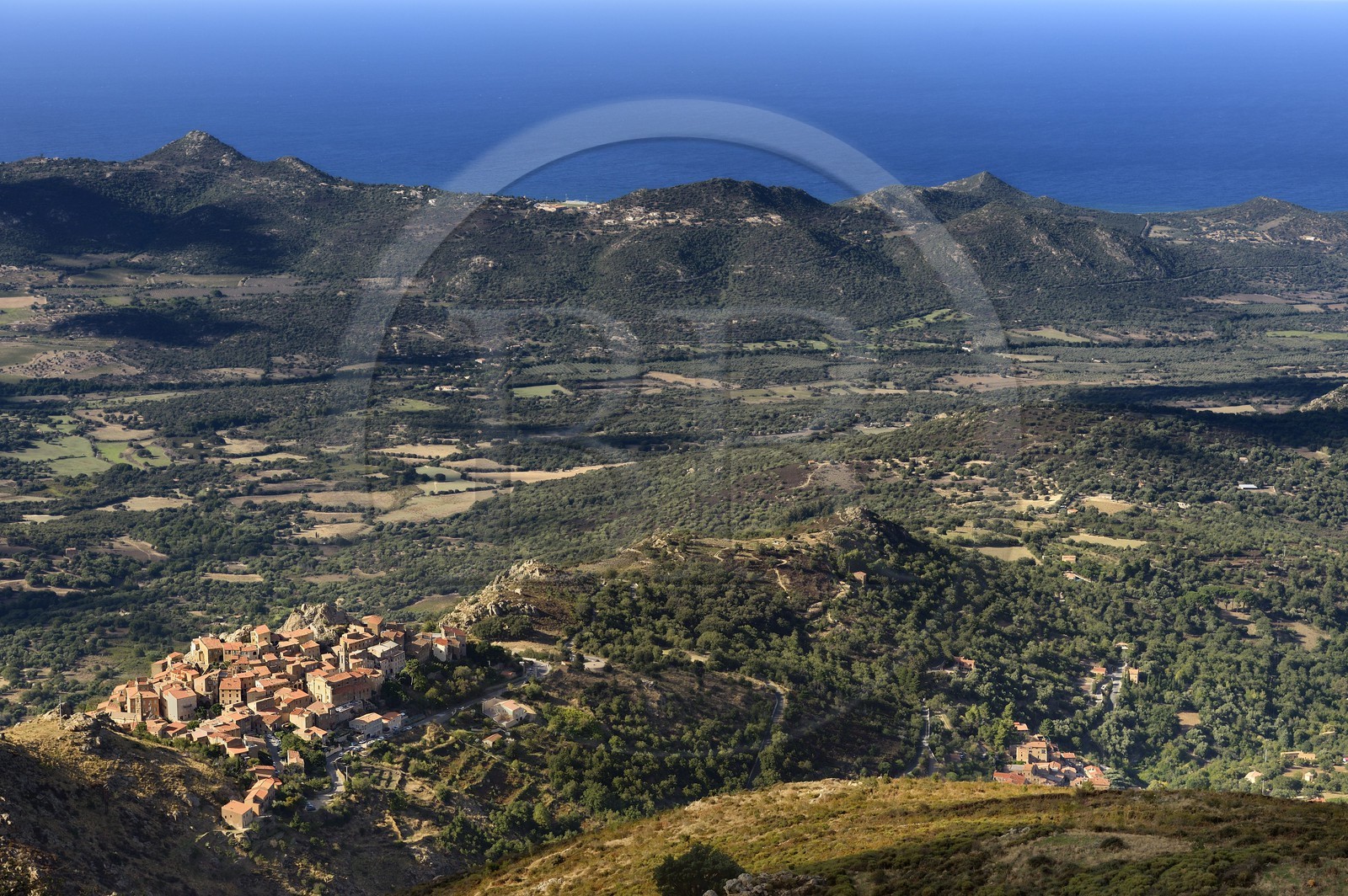 France, Haute-Corse (2B), Balagne, village perché de Speloncato