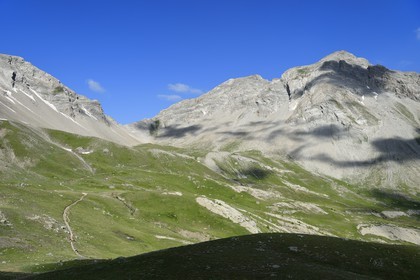 France, Alpes de Haute Provence, Uvernet Fours, Mercantour National Park, Ubaye valley, Cayolle pass (2326 m), hiking trail that climbs through the alpine lawn on the lake tour under the mountain top of the Eagle Hole