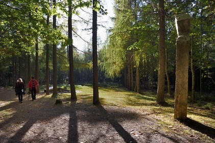 France, Bas Rhin, Ottrott, Mont Sainte-Odile, site of the Airbus A320 crash on January 20, 1992 killing 87 on the heights of La Bloss