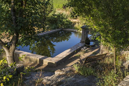 France, Var (83), Provence Verte, Bras, vers Saint-Maximin-la-Sainte-Baume, la maison d'hotes Le Peyrourier - une campagne en Provence
