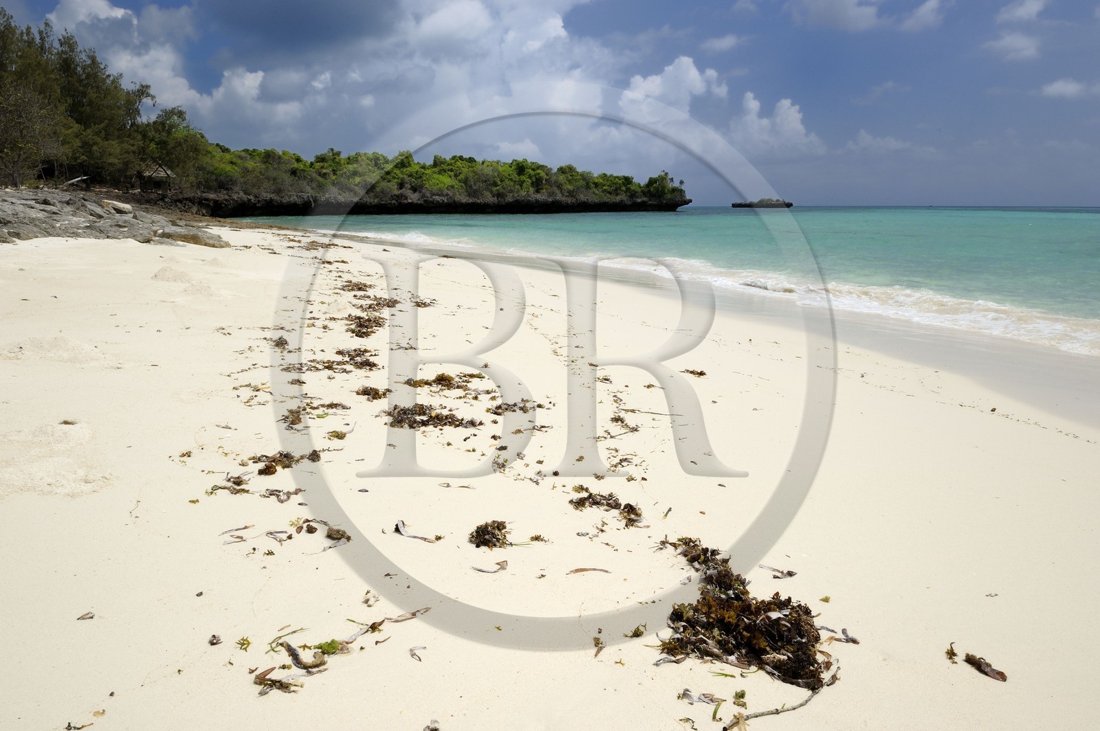 Tanzanie, archipel de Zanzibar, île de Unguja (Zanzibar), côte ouest, plage de la réserve naturelle de Chumbe Island Coral Park à marée basse