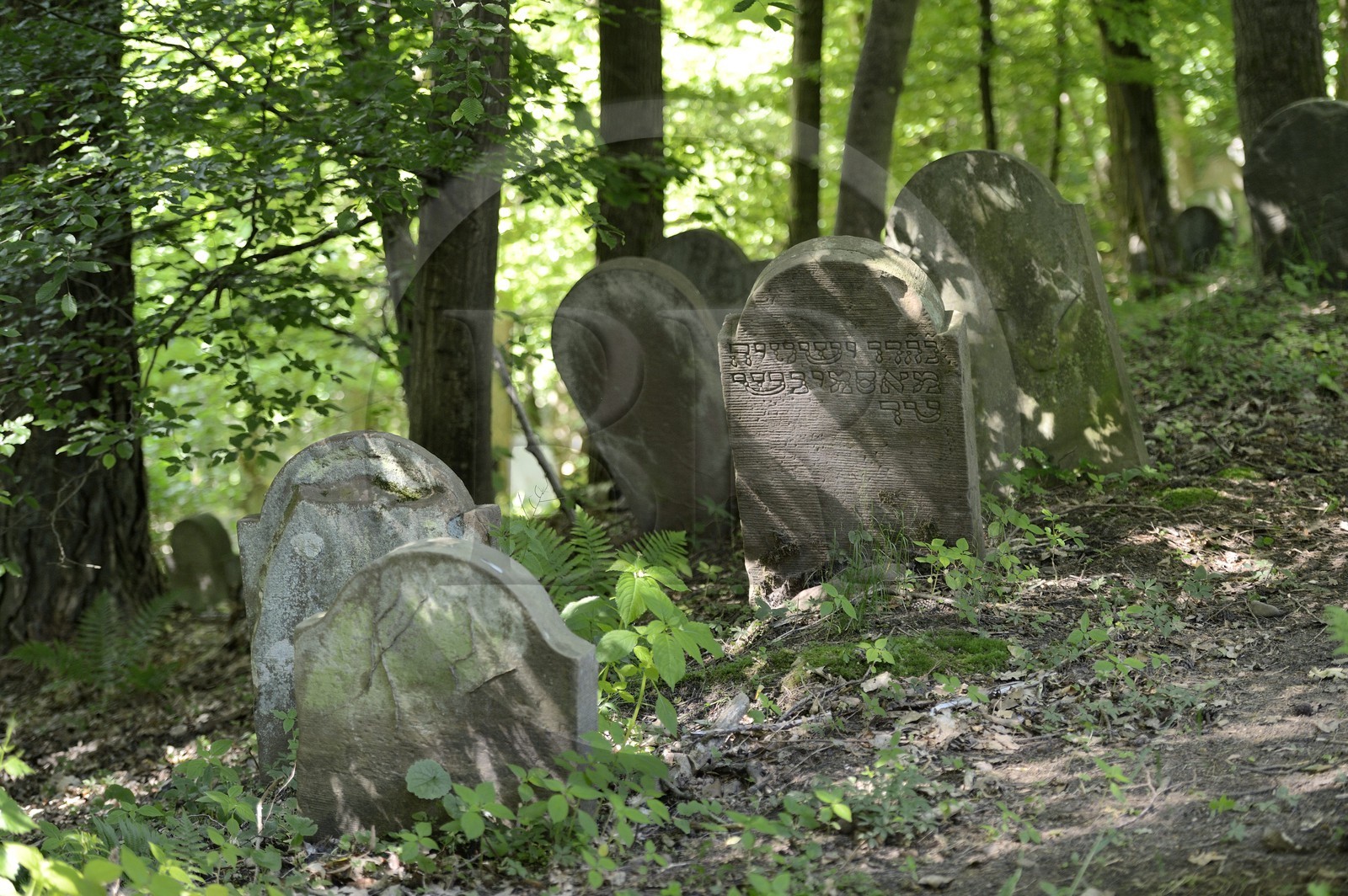 France, Bas-Rhin (67), Saverne, ancien cimetière juif