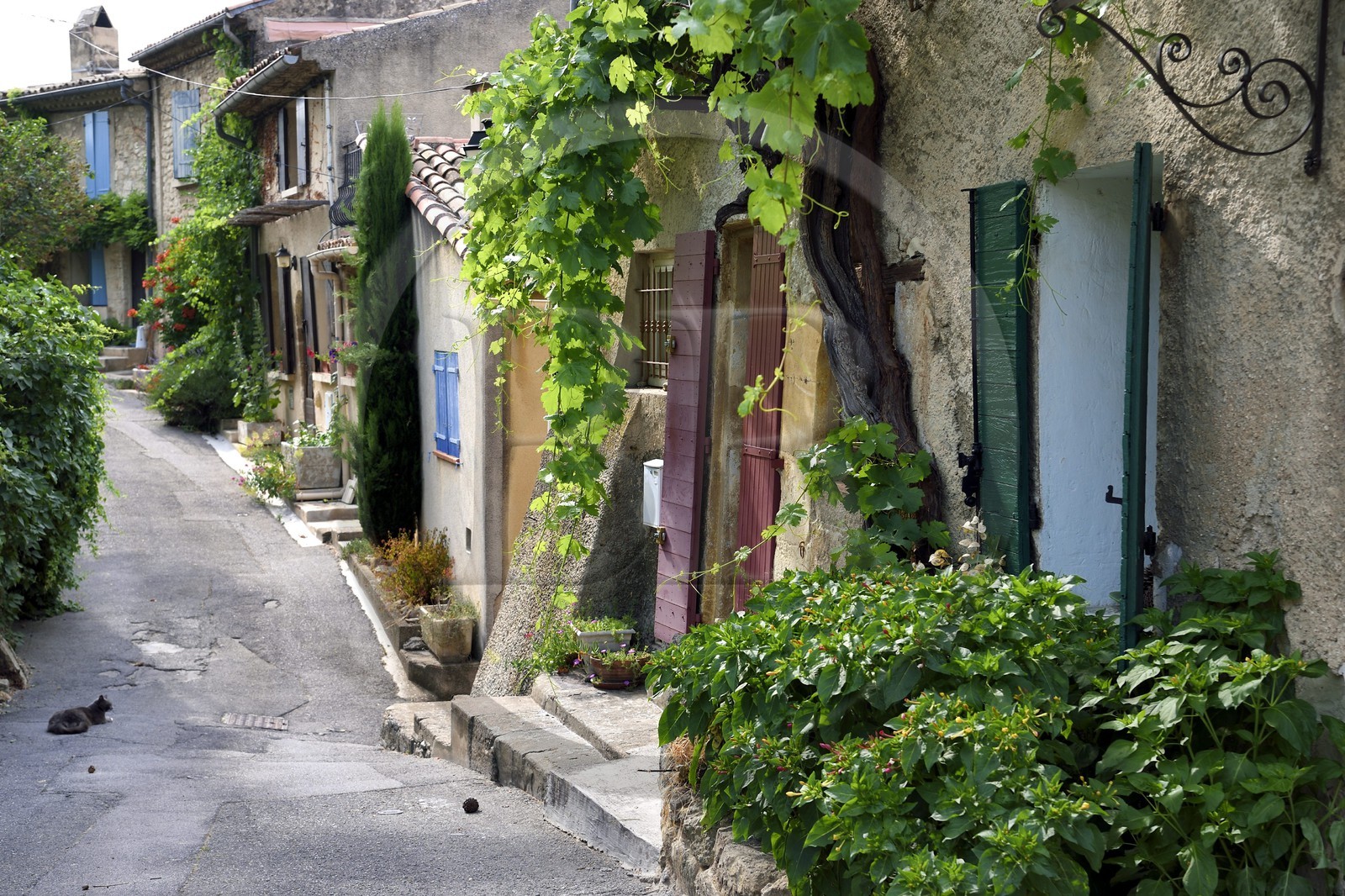 France, Vaucluse (84), Parc Naturel Regional du Luberon, Cucuron, labellisé Les Plus Beaux Villages de France, une ruelle de la vieille ville