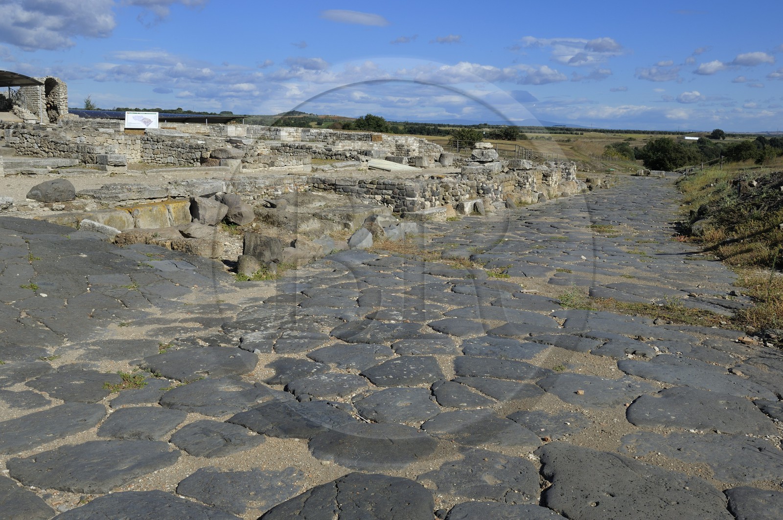 Italie, Latium, province de Viterbe, Montalto di Castro, antique cité étrusque de Vulci, vestige des rues pavées