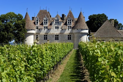 France, Dordogne (24), Périgord Pourpre, Monbazillac, Chateau de Monbazillac au milieu de ses vignes