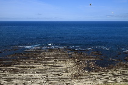 France, Pyrénées-Atlantiques (64), Pays-Basque, la Corniche Basque, Urrugne, la côte Atlantique vers Socoa France, Pyrenees Atlantiques, Basque Country coast, the Basque Corniche, Urrugne, the Atlantic coast towards Socoa