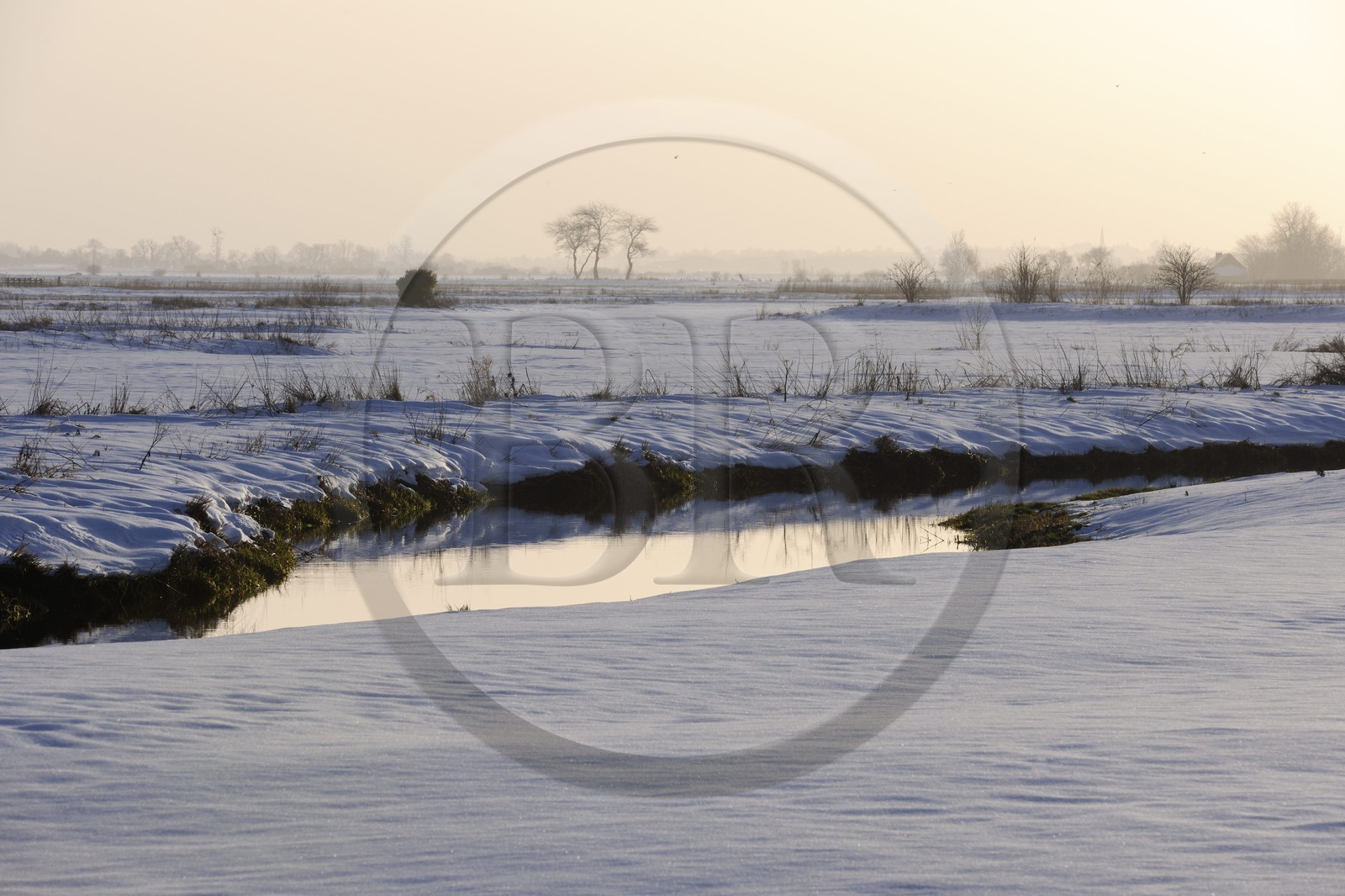 France, Manche (50), Cotentin, marais du Grand Vey en hiver sous la neige
