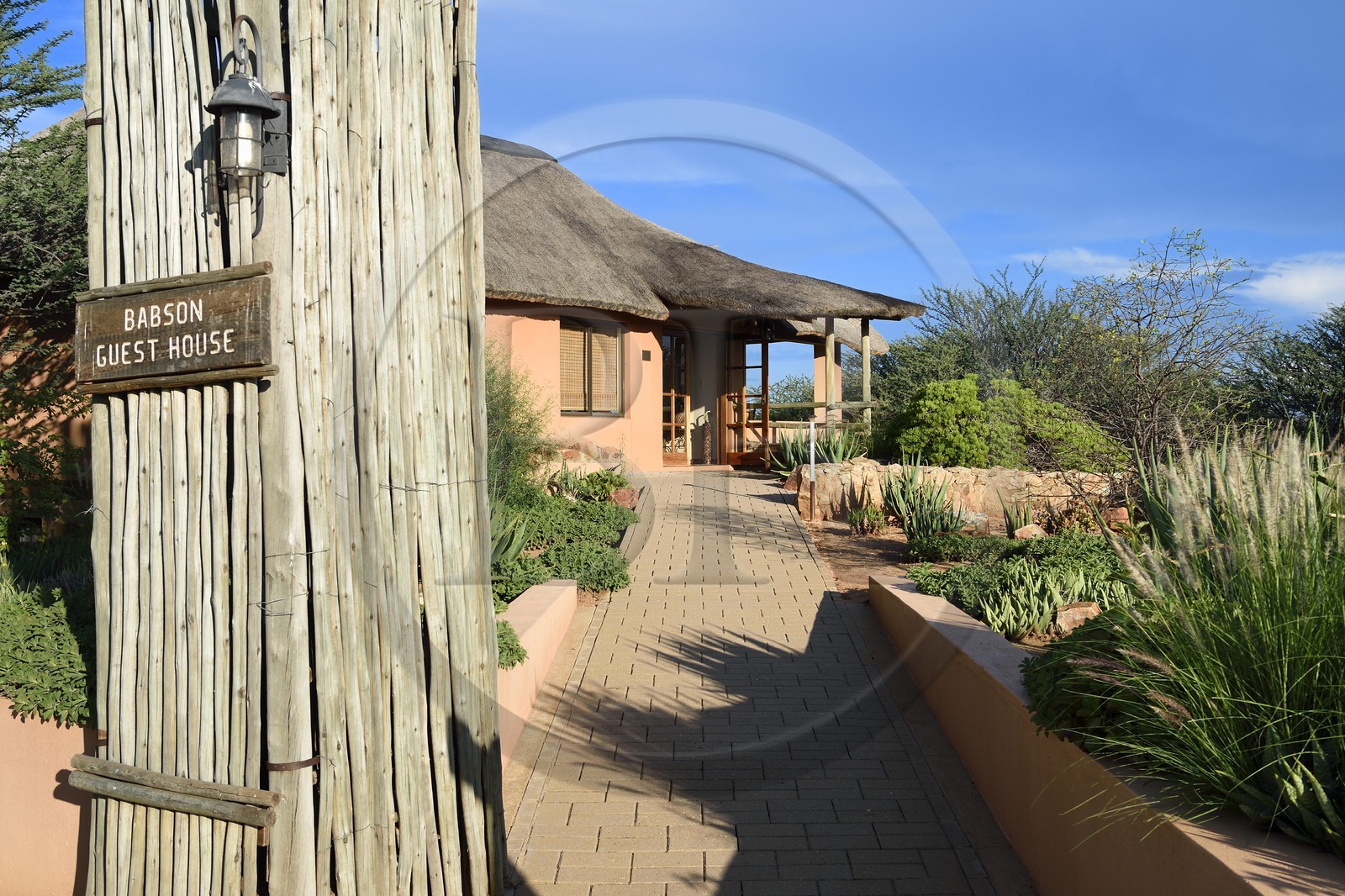 Namibie, Otjiwarongo, Cheetah Conservation Fund, centre de recherche et d'éducation, Babson House Luxury Guest House