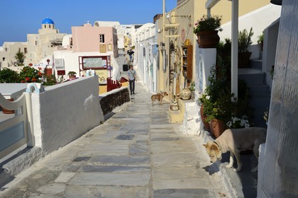 Grèce, Les Cyclades, mer Égée, île de Santorin (Thira ou Théra), village de Oia, la rue principale
