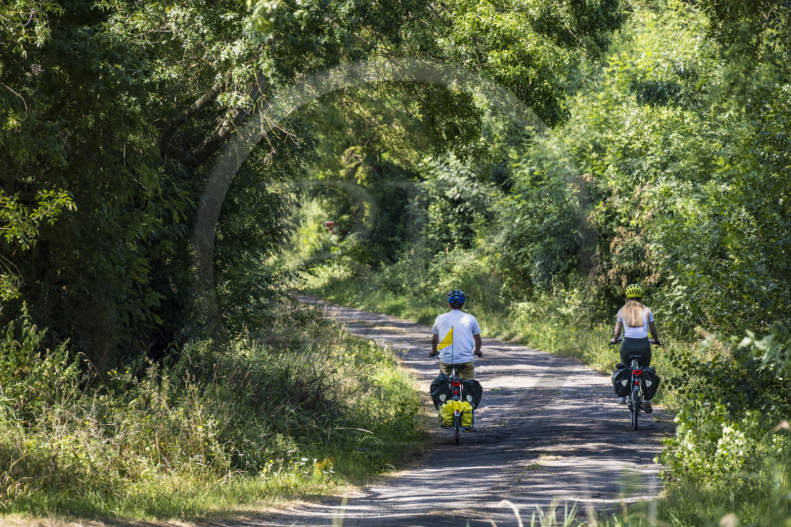 France, Maine-et-Loire, Loire valley listed as World Heritage by UNESCO, Saumur towards Saint-Hilaire, cycling along the banks of the Loire on the Loire à Vélo cycle path, bike with a trailer carrying camping equipment