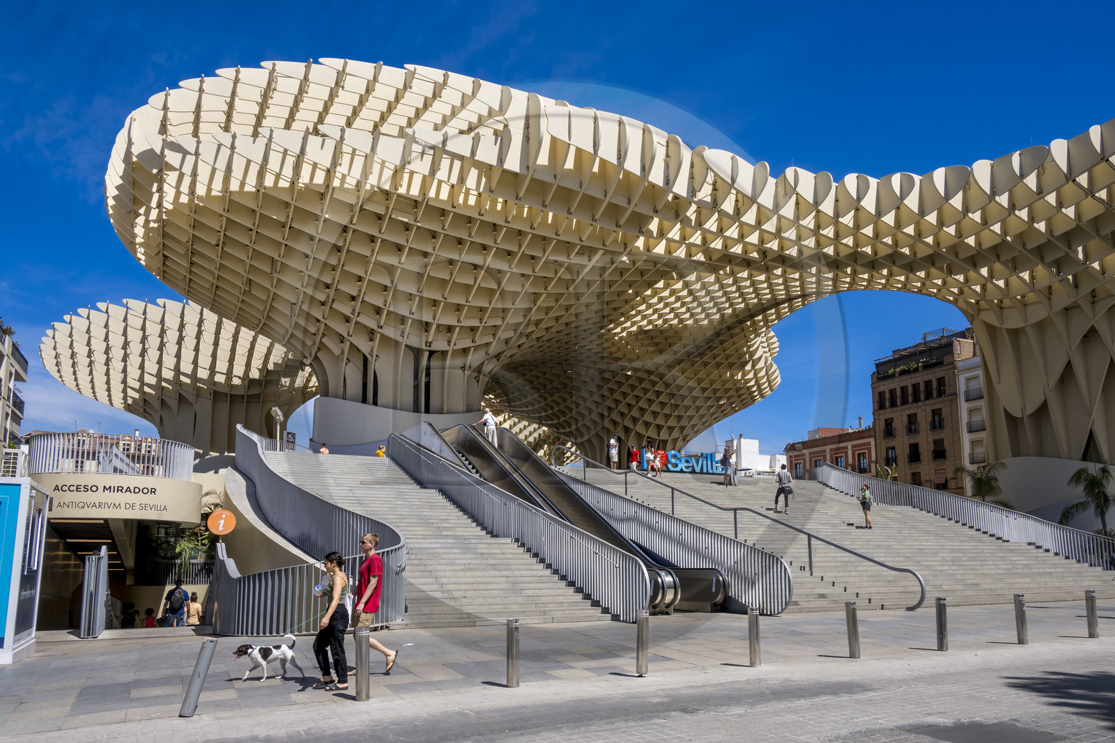 Espagne, Andalousie, Séville, Plaza de la Encarnacion - Plaza Mayor, Metropol Parasol ou Setas de Sevilla (construit en 2011) par l'architecte  Jurgen Mayer-Hermann