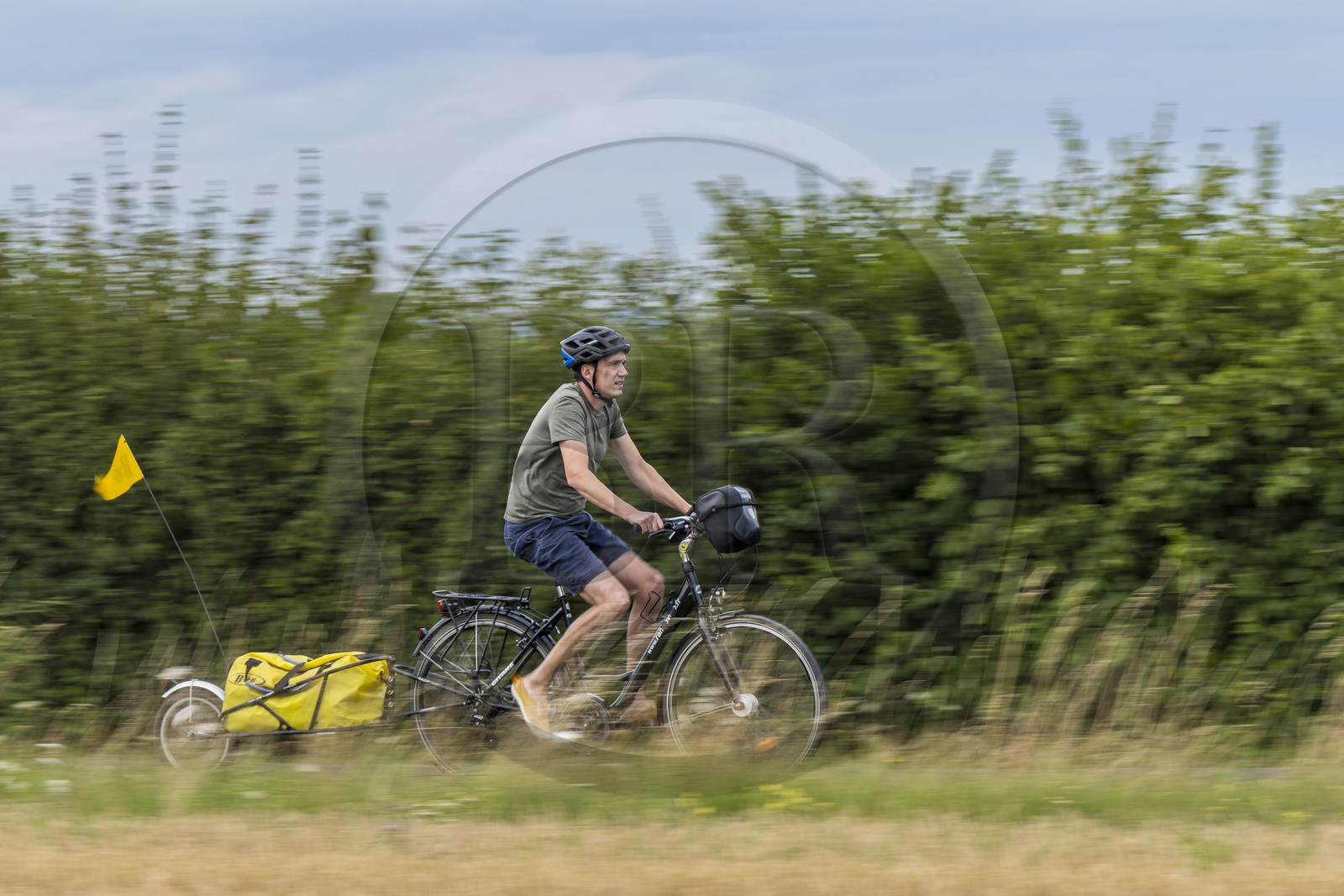 France, Maine-et-Loire (49), vallée de la Loire classée au Patrimoine Mondial par l'UNESCO, Saumur vers Saint-Hilaire, randonnée à bicyclette avec une remorque transportant le matériel de camping