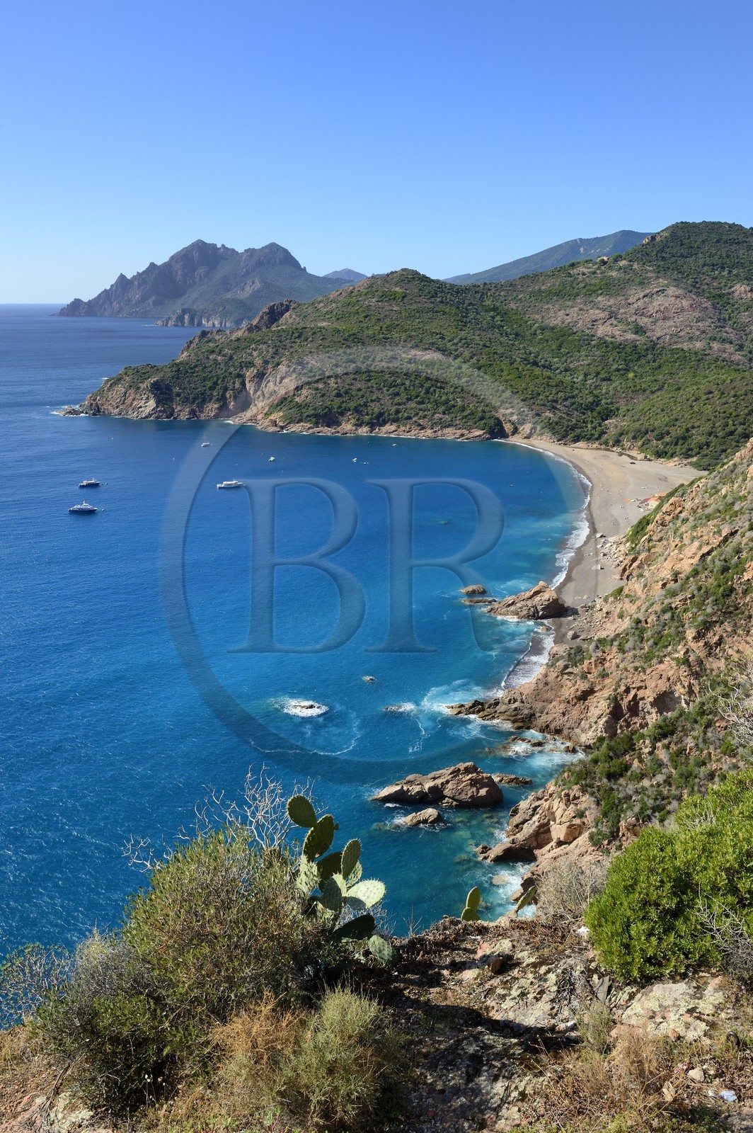 France, Corse-du-Sud (2A), Golfe de Porto, classé Patrimoine Mondial de l'UNESCO, plage de Bussaglia (Serriera)