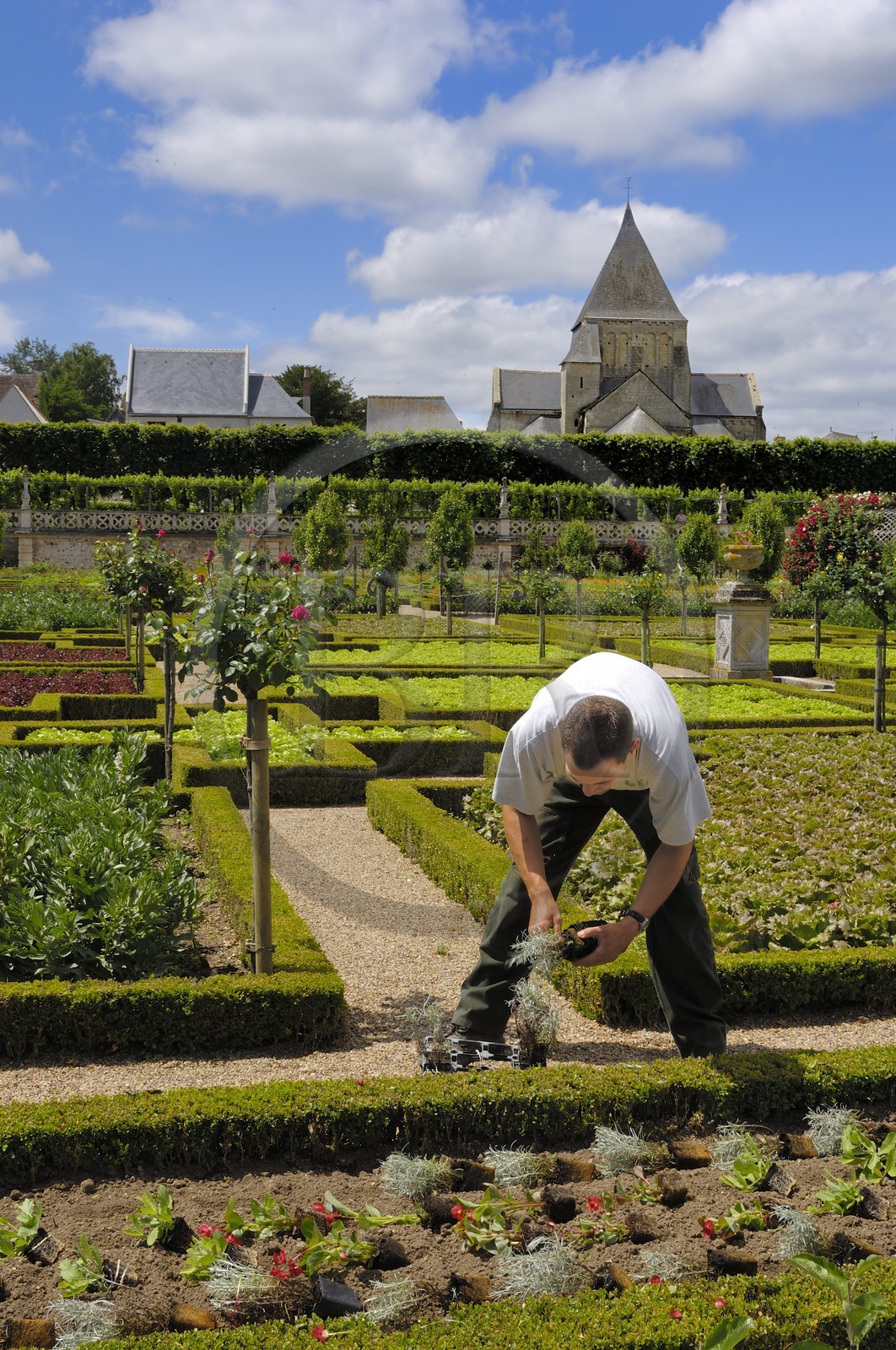 France, Indre et Loire, Loire Valley listed as World Heritage by UNESCO, Chateau de Villandry owned by Henry and Angelica Carvallo, formal gardens (jardins à la française)