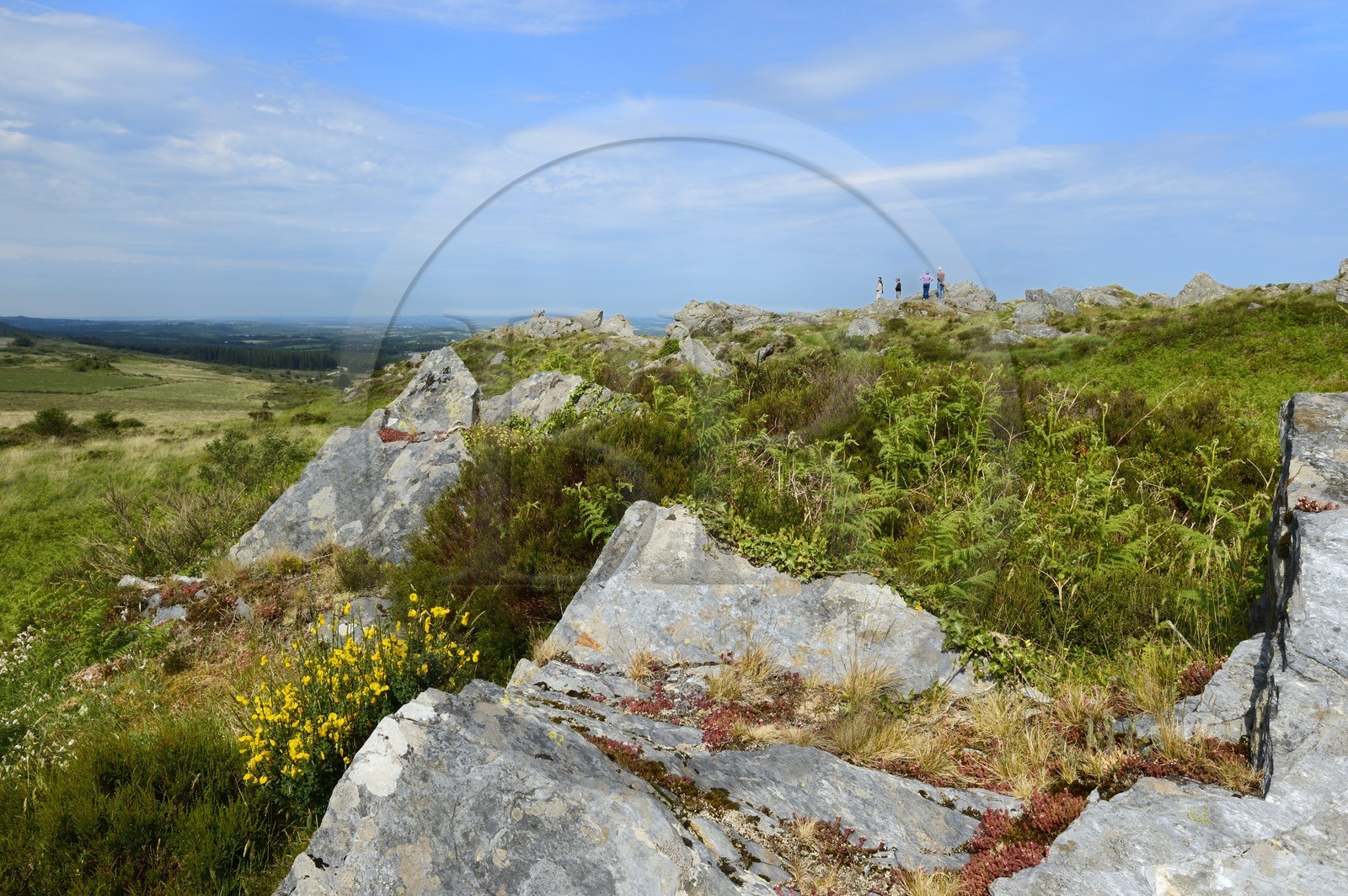 France, Finistère (29), parc naturel régional d'Armorique, Plounéour-Ménez, Roc-Trevezel et les Monts d'Arrée