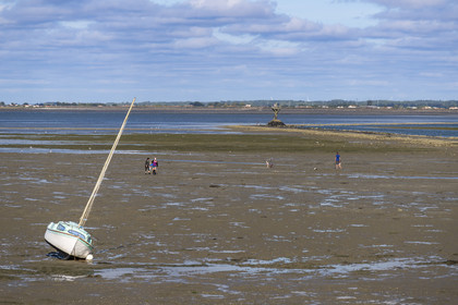 France, Vendee, Noirmoutier island, Barbatre, gathering seafood by hand on the foreshore along the Passage du Gois, submersible causeway that connects the island to the mainland at low tide