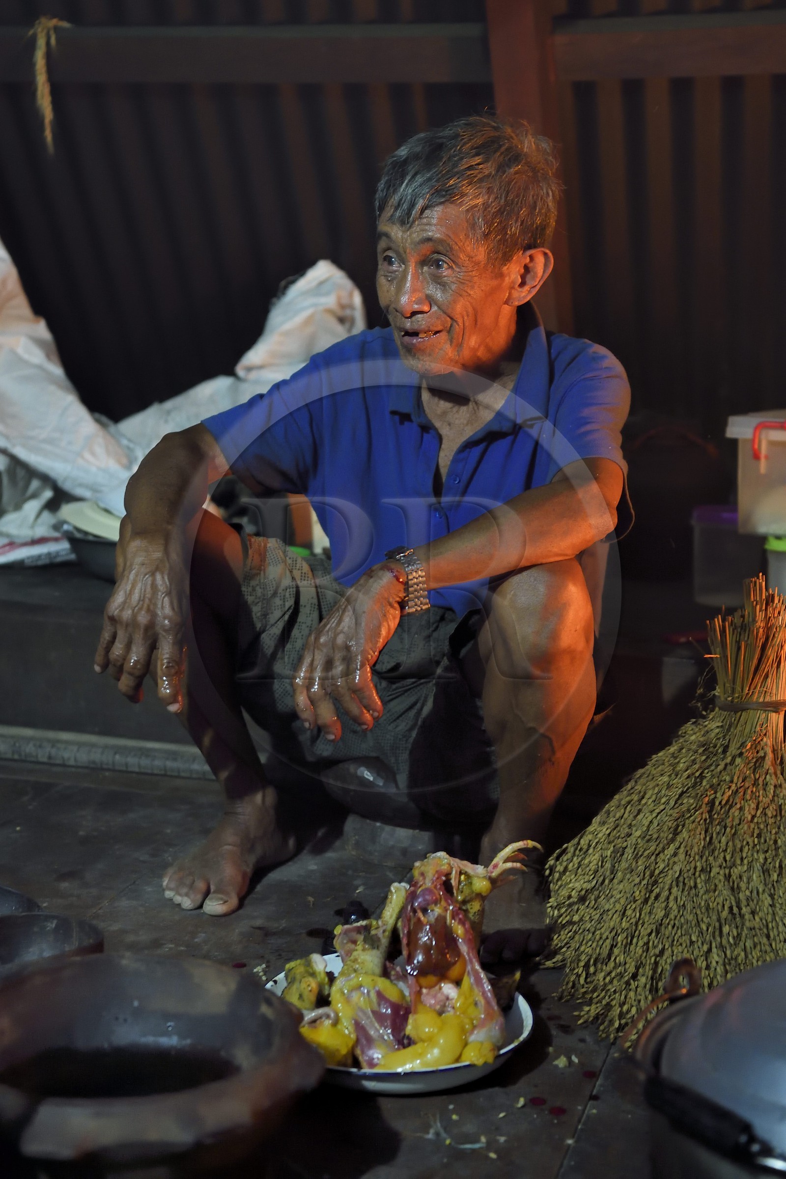 Philippines, province d'Ifugao, région de Banaue, village de Cambulo, un chaman Ifugao prédit l'avenir dans les entrailles d'un poulet