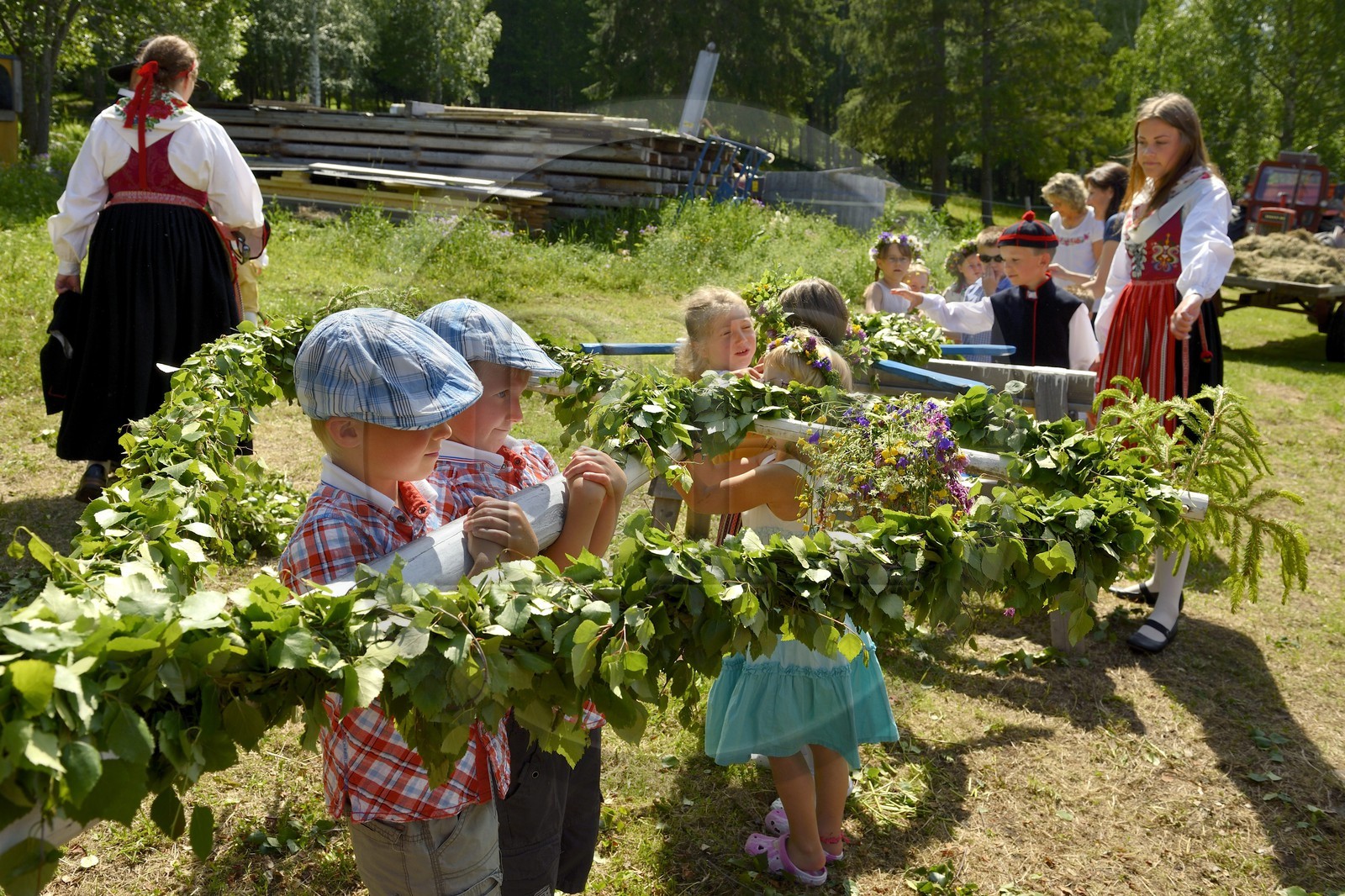 Suède, comté de Dalécarlie, région de Leksand, célébrations du solstice d'été dans le petit hameau de Sunnanäng, enfants préparant l'arbre de Mai avant qu'il ne soit érigé
