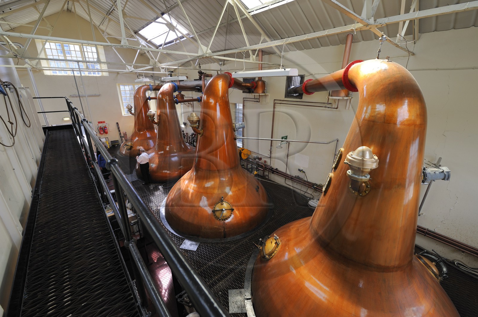 Royaume-Uni, Ecosse, Iles Orcades, Kirkwall, distillerie de whisky Highland Park, distillation du wash dans des alambics en cuivre Pot-stills
