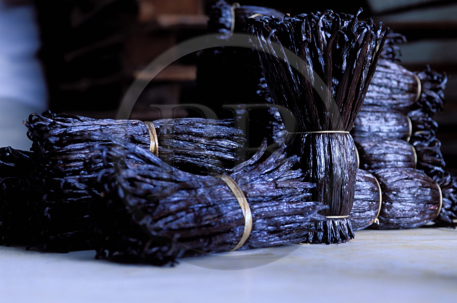 France, île de la Réunion, bottes de vanille Bourbon (à la coopérative de la vanille de Bras-Panon)