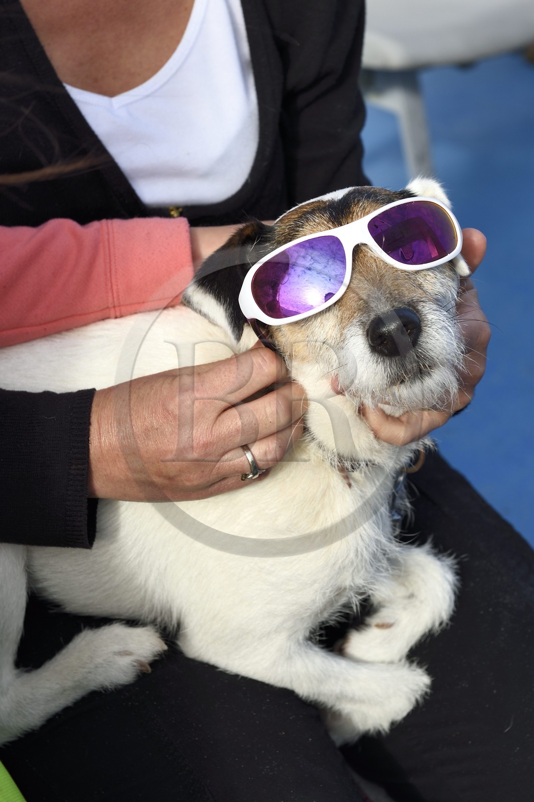 France, Finistere, Ile de Batz