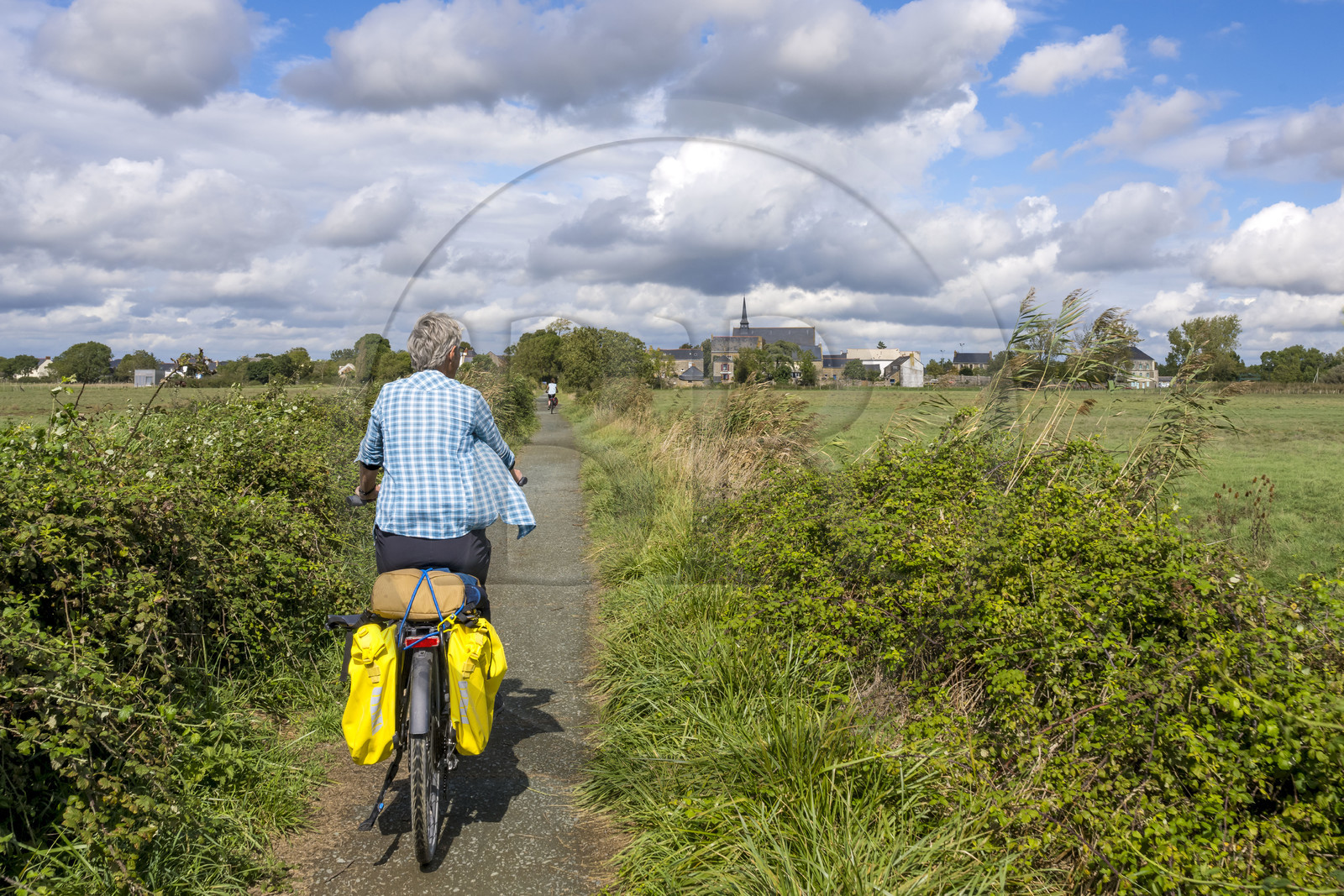 France, Loire-Atlantique (44), Lavau-sur-Loire, randonnée à vélo dans l'estuaire de la Loire