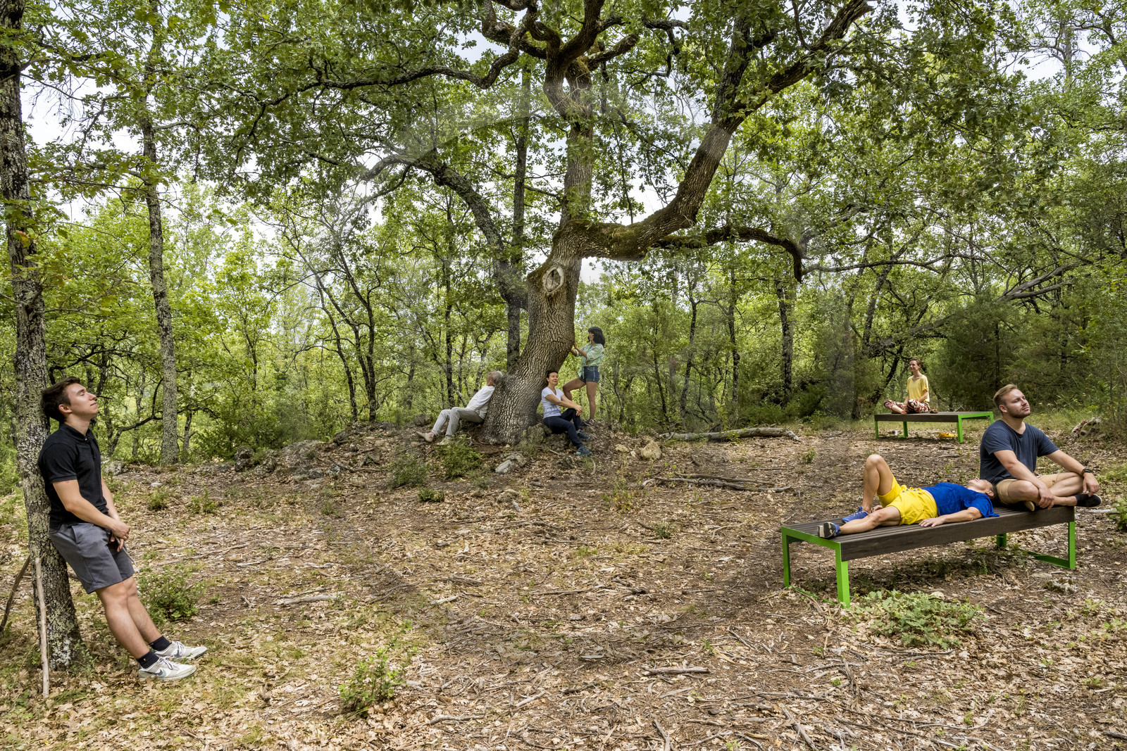 France, Var, Provence Verte (Green Provence), Bras, Academie du Bain de Foret Provencale (Academy of Forest Bathing in Provence), forest of the domaine Le Peyrourier - une campagne en Provence, Constanze Coisne guides Shinrin Yoku