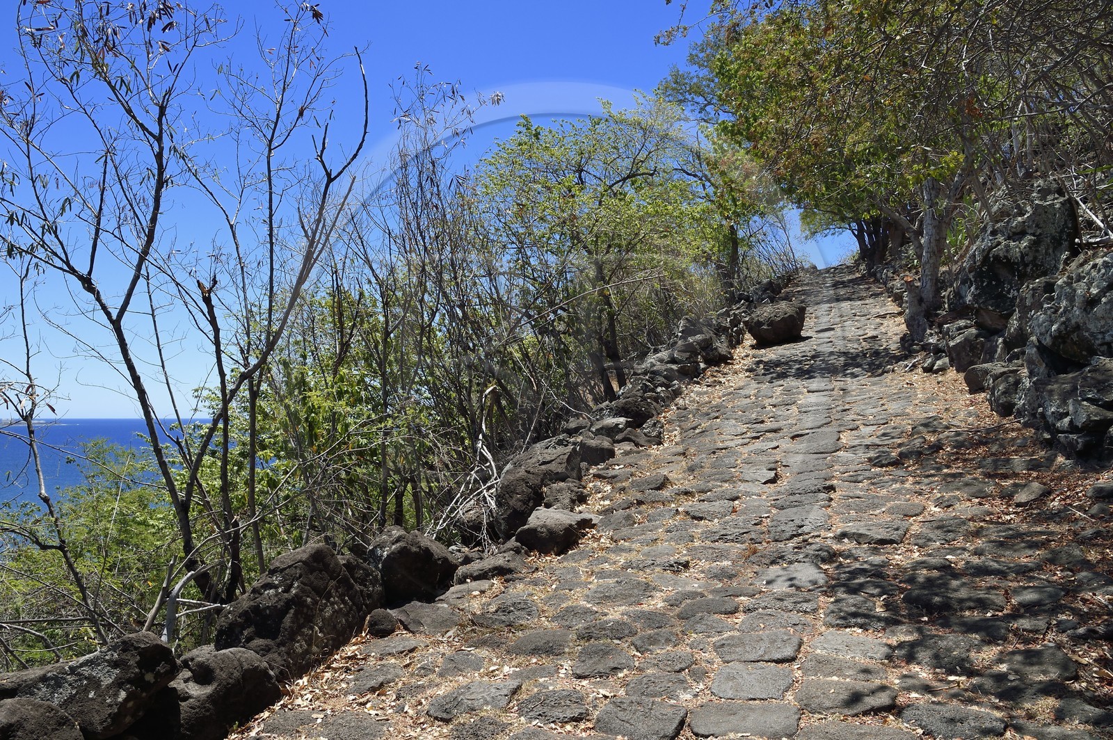 France, Ile de la Reunion, La Possession, le chemin Crémont aussi appelé chemin des Anglais, ancienne route pavé de basalte depuis 1775 qui longe le bord de la falaise de la cote nord-ouest devenu sentier de randonnée