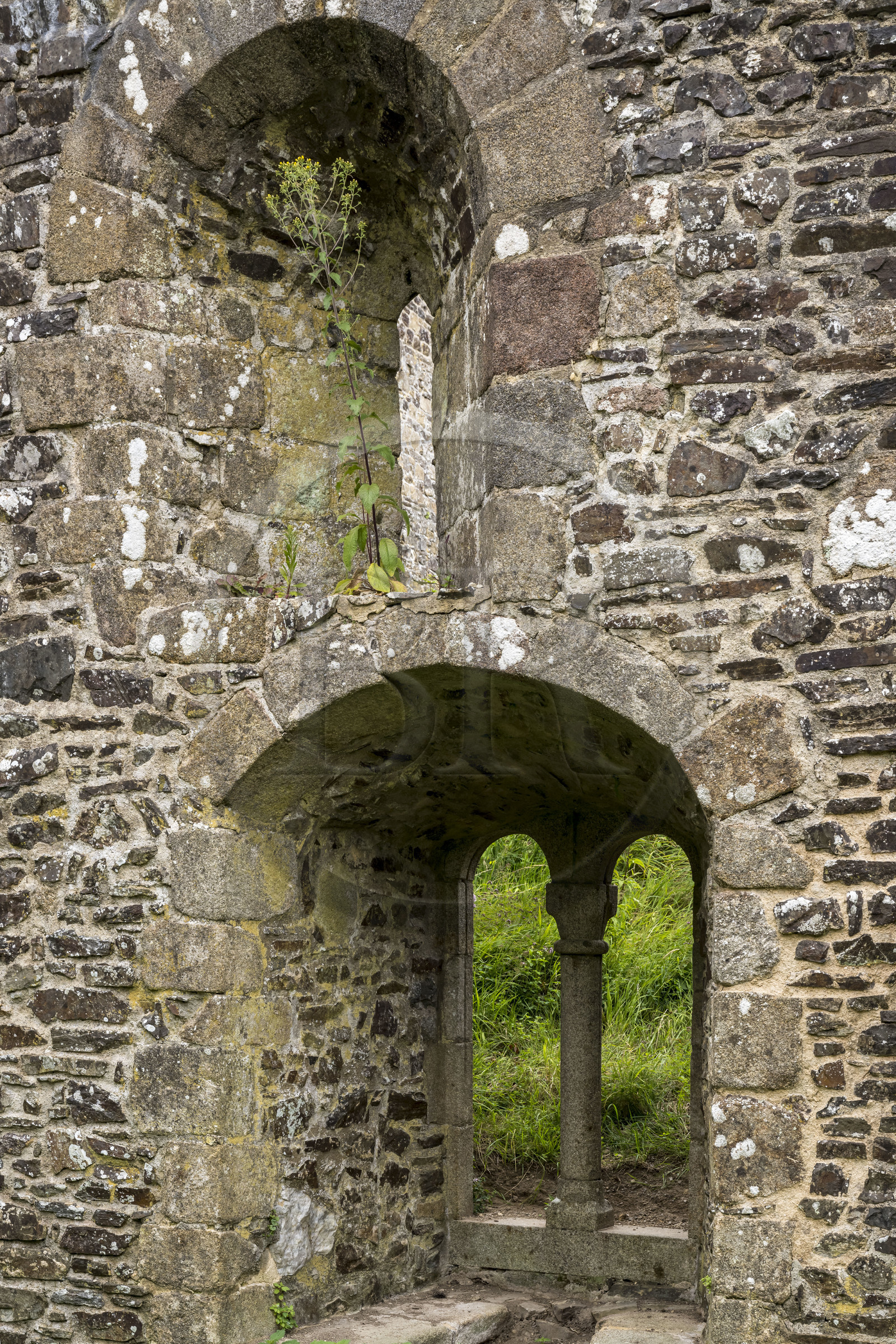 France, Ille-et-Vilaine (35), Fougères, le château-fort du XIIe siècle, fenêtre de l'ancien logis de Marie d'Espagne
