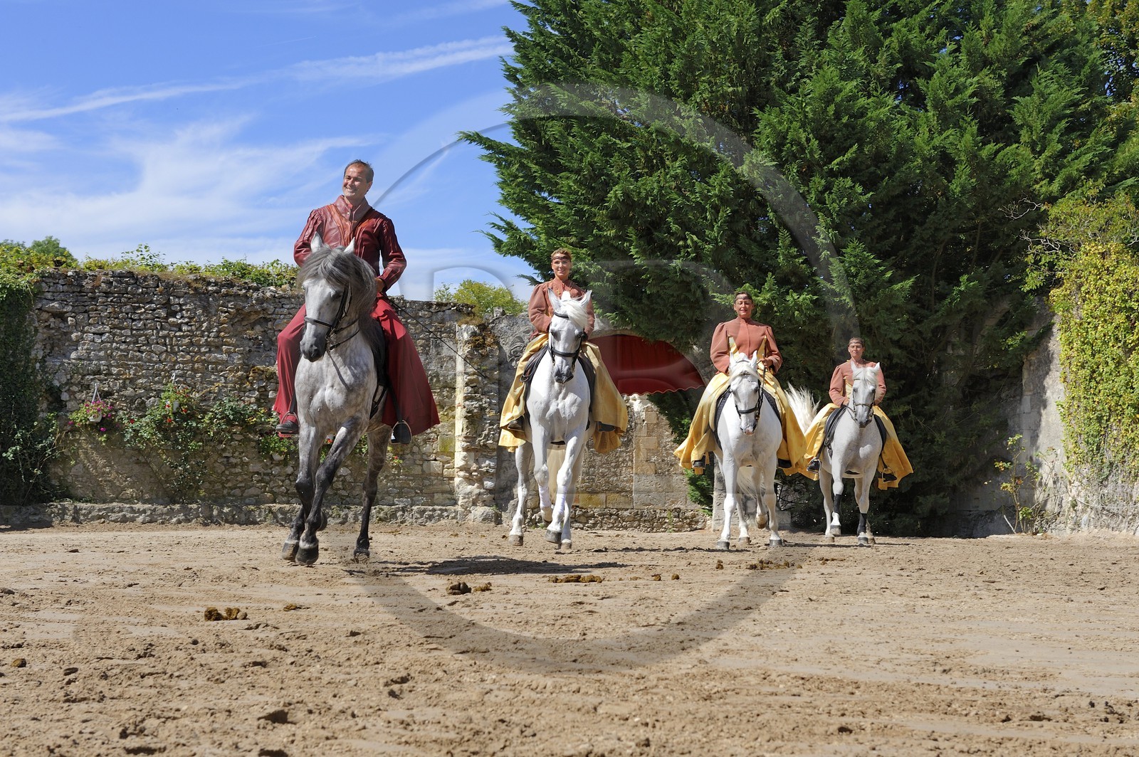 France, Loir et Cher (41), château de Chambord, spectacle d' Art équestre