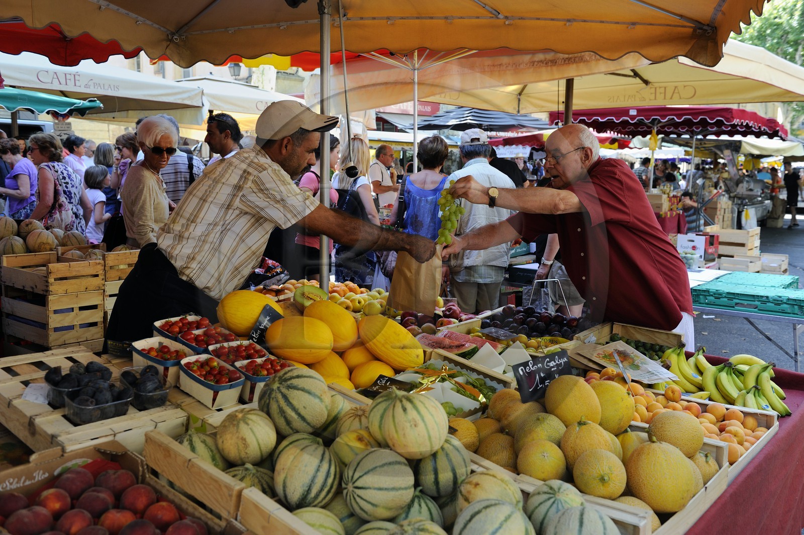 France, Bouches-du-Rhone, Aix-en-Provence, market on Place de l'Hotel de Ville, fruit and vegetable stall