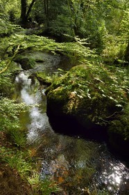 France, Finistère (29), parc naturel régional d'Armorique, Huelgoat, chaos granitique de la forêt du Huelgoat, la forêt se reflète dans l'eau de la rivière d'Argent qui prend parfois une couleur rouge sang