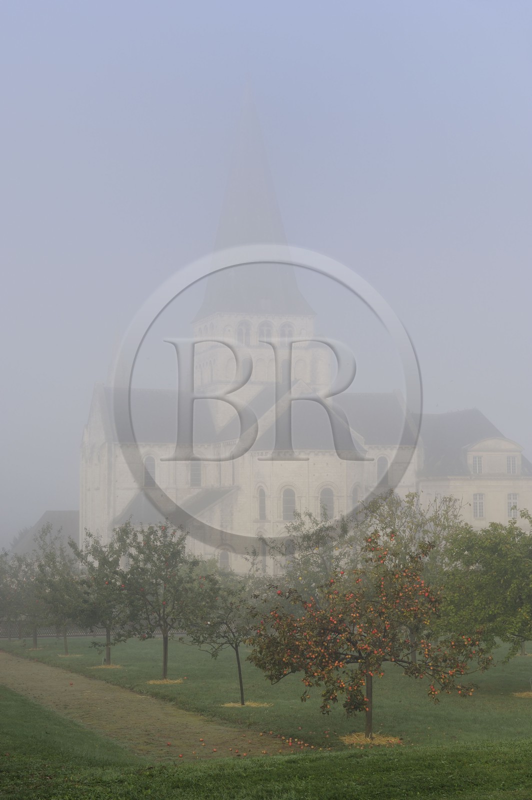 France, Seine-Maritime (76), Saint-Martin-de-Boscherville, Abbaye Saint-Georges de Boscherville du XIIe siècle et les jardins