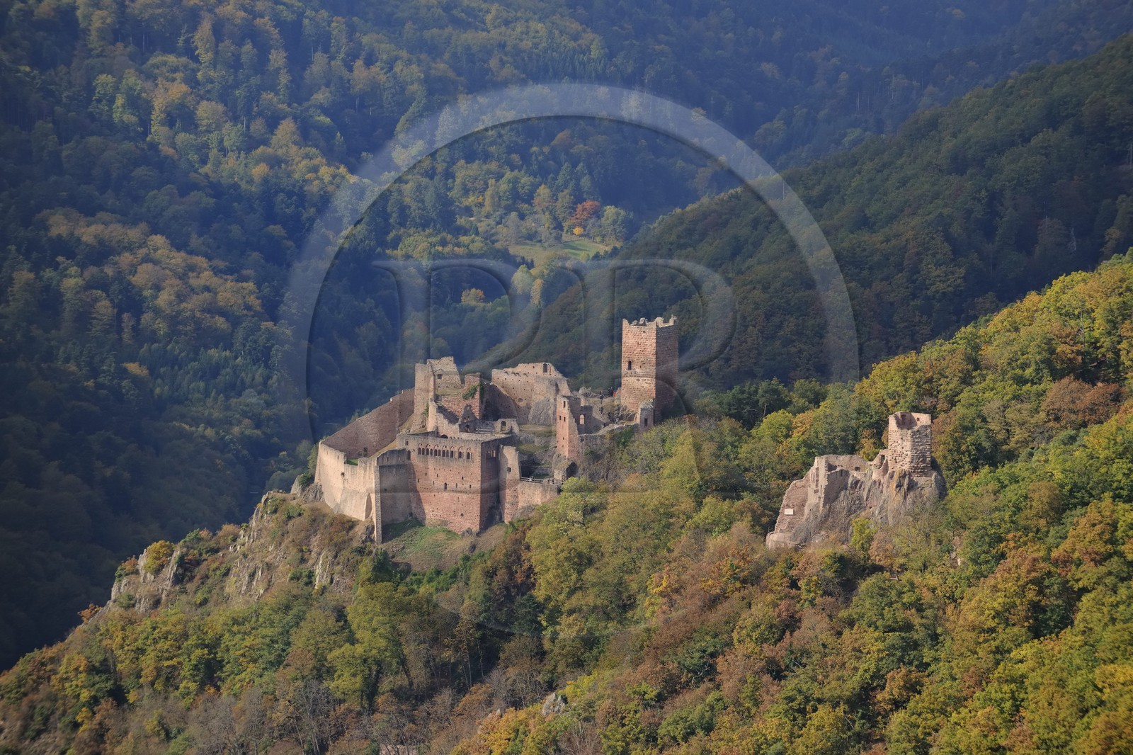 France, Haut-Rhin (68), Ribeauvillé, châteaux Saint-Ulrich et Girsberg à droite (photo aérienne)