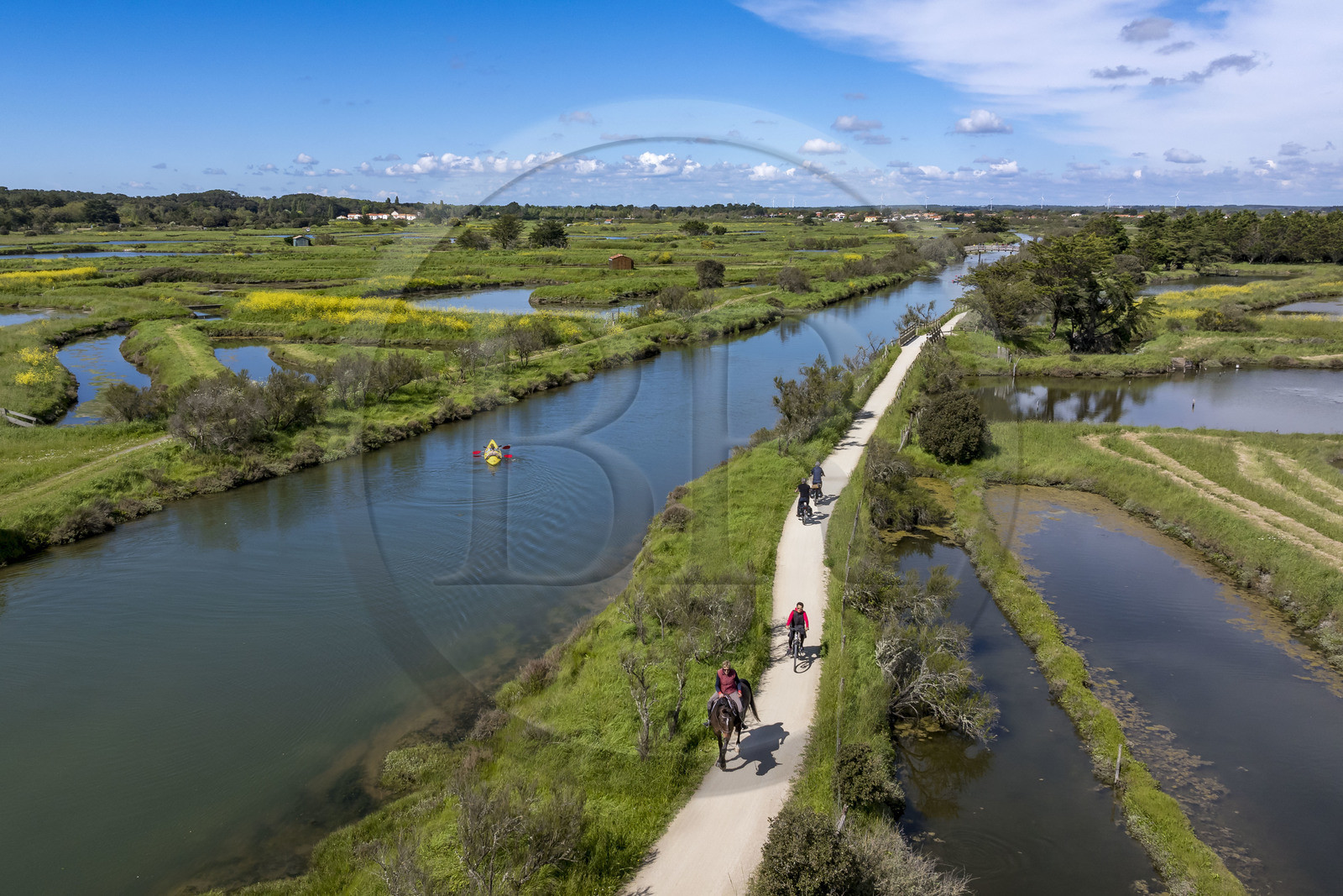 France, Vendée (85), Les-Sables-d'Olonne, marais de l'Auzance, cavalier et cyclistes sur la piste de la véloroute Vendée Vélo Tour et Vélodyssée le long du canal de la Bauduère (vue aérienne)