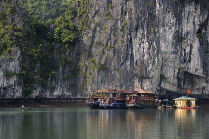 Vietnam, province de Quang Ninh, la Baie d'Halong classée Patrimoine Mondial de l'UNESCO à l'ile de Bo Hon