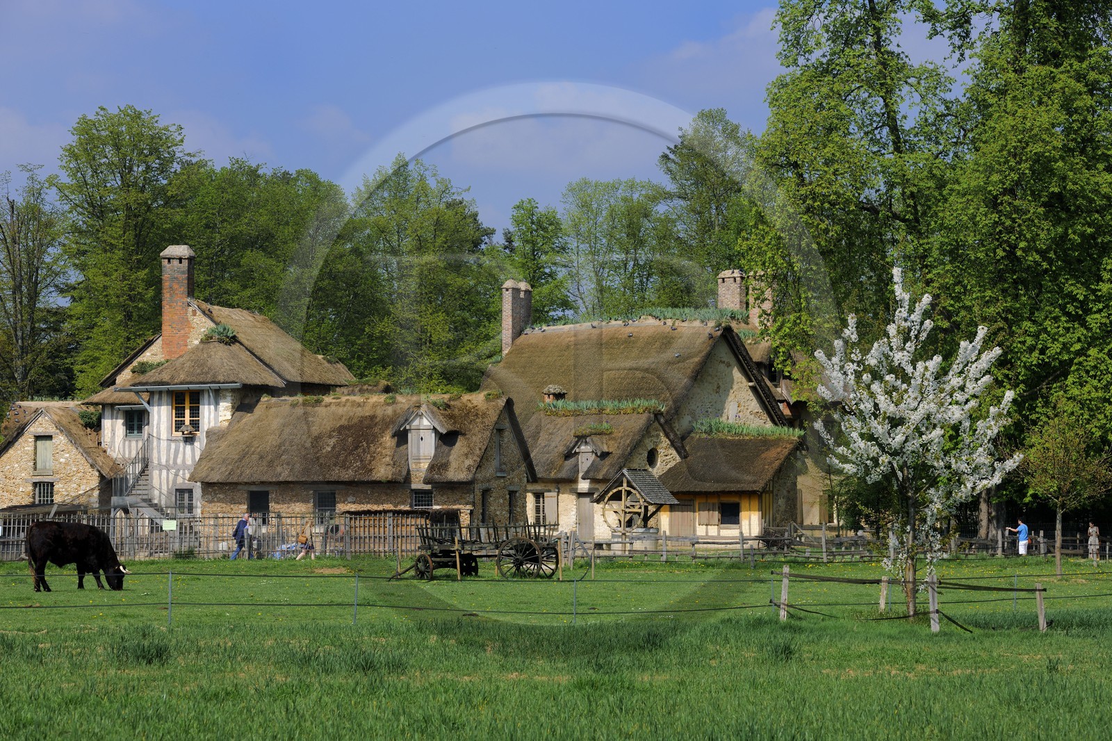 France, Yvelines, Chateau de Versailles, listed as World Heritage by UNESCO, Domaine de Marie Antoinette, Hameau de la Reine (the Queen's Hamlet), the farm