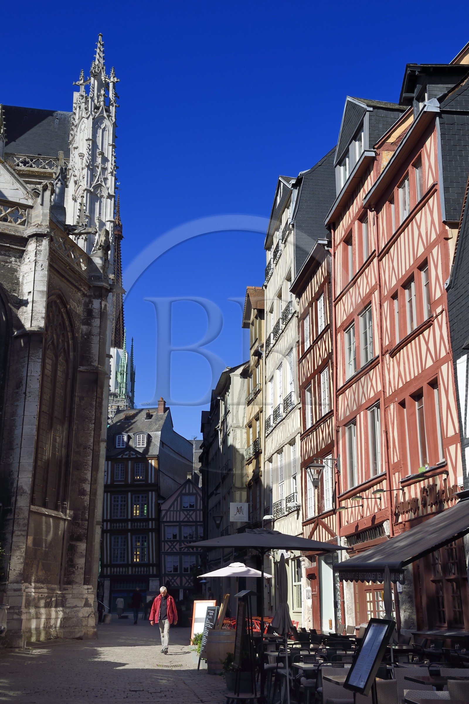 France, Seine-Maritime (76), Rouen, maisons à pans de bois dans la rue médiévale Martainville qui longe l'église Saint-Maclou