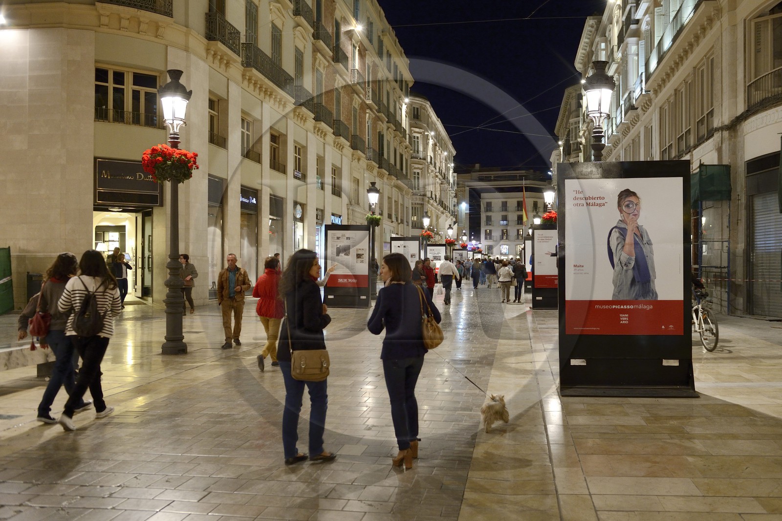 Espagne, Andalousie, Malaga, l'artère principale calle Marquès de Larios
