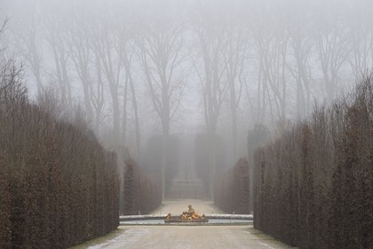 France, Yvelines (78), parc du château de Versailles, classé Patrimoine Mondial de l'UNESCO, bassin de Flore ou du printemps en hiver