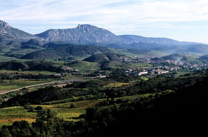 France, Pyrenees Orientales, Fenouilledes region, soil of the Maury AOC wine, underneath the Queribus castle