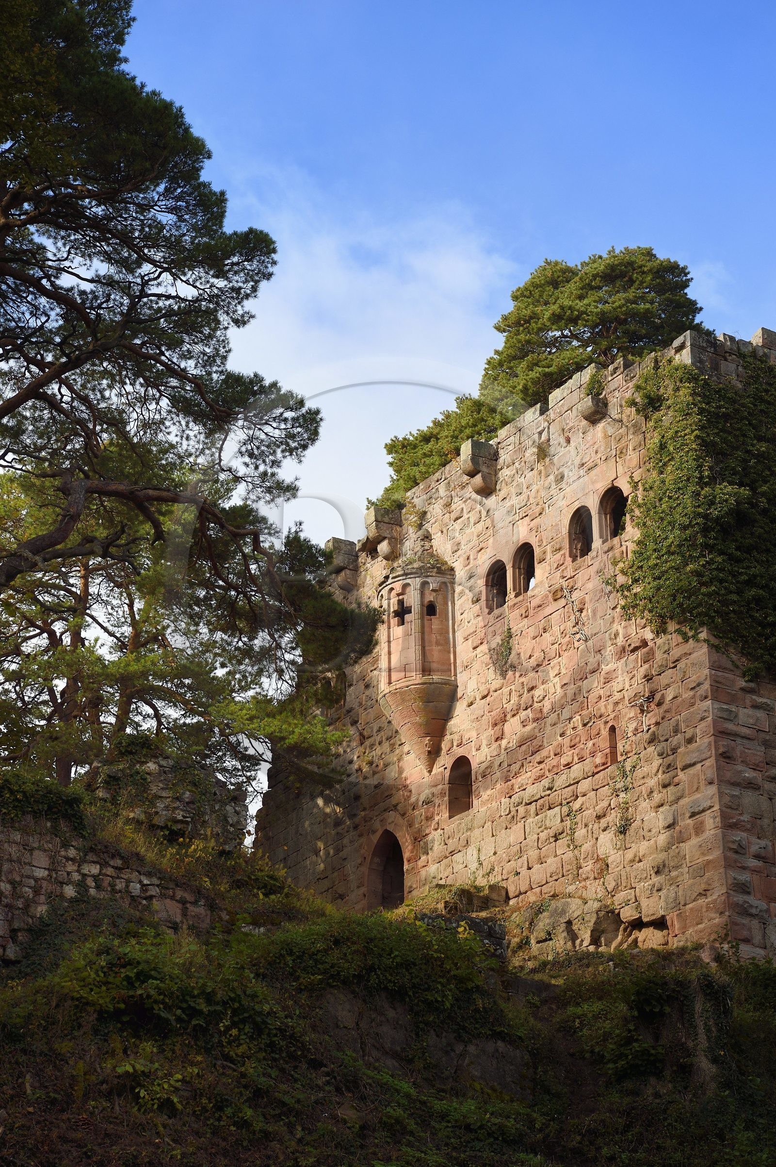 France, Bas-Rhin (67), Heiligenstein, chateau du Landsberg du XIIIème siècle, logis seigneurial et oriel qui abrite le chœur de la chapelle castrale