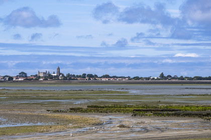 France, Vendee, Noirmoutier island, the castle and the church of Saint-Philbert, the sea at low tide in the foreground