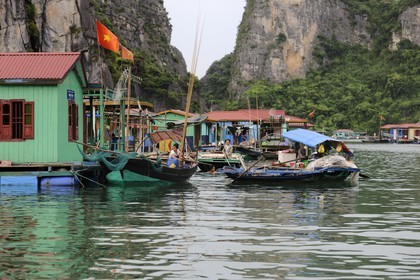 Vietnam, province de Quang Ninh, la Baie d'Halong classée Patrimoine Mondial de l'UNESCO, village flottant de pêcheurs de Vong Vieng