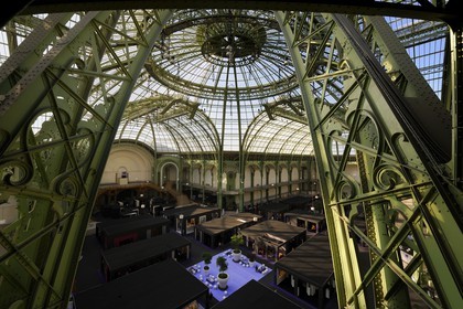 France, Paris (75), le Grand Palais, salon du collectionneur sous la coupole vitrée